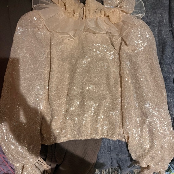 Antonio Melani | NICOLA BATHIE  Sequined Long Sleeve Blouse Champagne - Picture 5 of 9